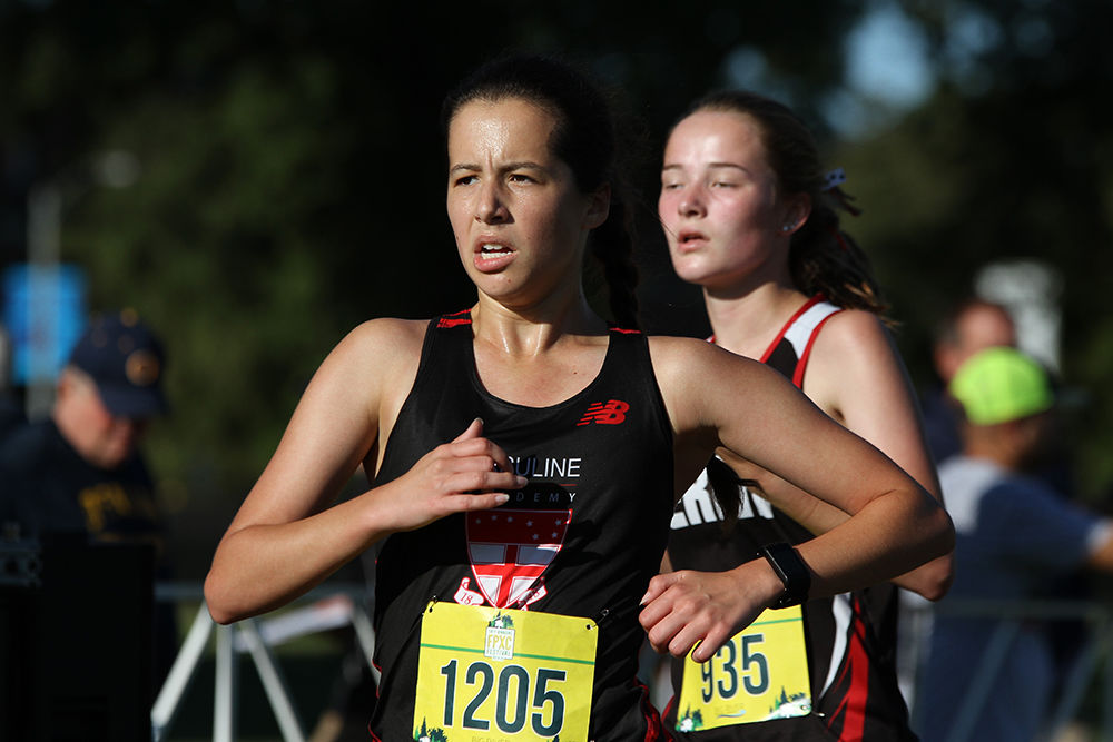 Forest Park Cross Country Festival
